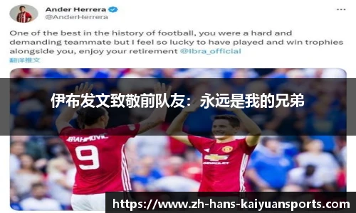 开元体育官网